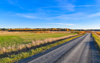 Fototapeta na wymiar Autumn field and narrow gravel road 