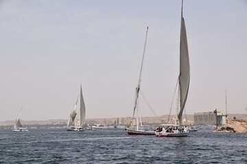 Obraz premium Rzeka Nil piękne widoki ,Egipt