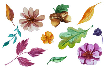 Fototapeta premium Hand drawn watercolor set of flowers and leaves. Autumn. October. November. September. Watercolor. Elements for decor. Holidays. Aroma. Texture.