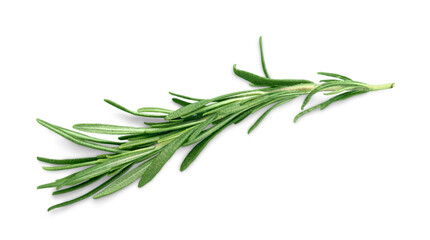 Herb parsley mint thyme rosemary isolated leaf - obrazy, fototapety, plakaty