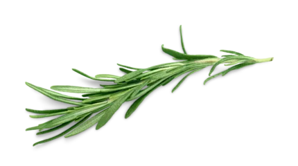 Foto op Plexiglas Herb parsley mint thyme rosemary isolated leaf © BillionPhotos.com