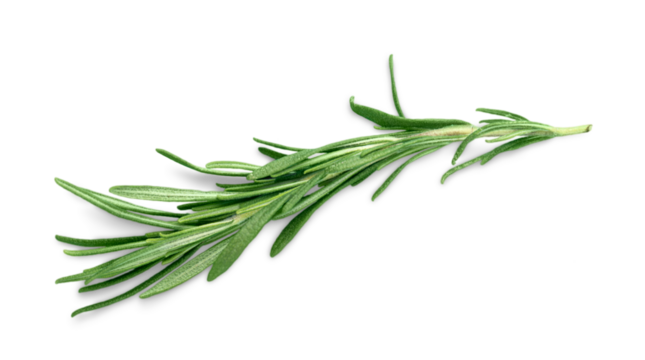 Herb parsley mint thyme rosemary isolated leaf