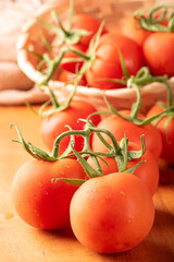 Tomatoes, beautiful details of fresh red tomatoes on branches over rustic wood, selective focus.