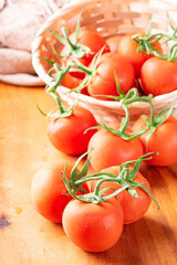 Tomatoes, beautiful details of fresh red tomatoes on branches over rustic wood, selective focus.