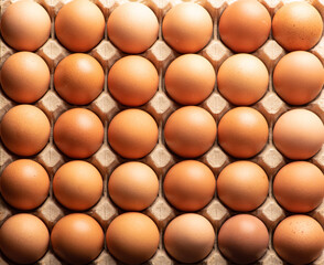 Eggs, detail of red eggs in a row, top view.