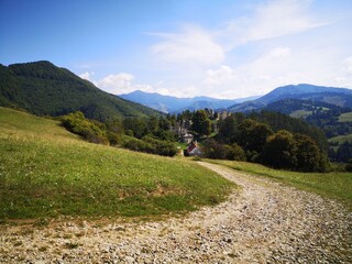 landscape in the summer