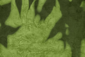 Abstract grass leaves shadows on olive green concrete wall texture with roughness and irregularities. Abstract trendy nature concept background. Copy space for text overlay, poster mockup flat lay 