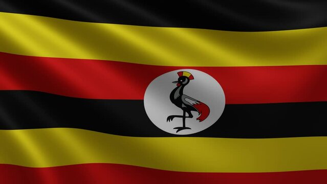 Ugandan flag fluttering in the wind closeup, the national flag of Uganda flutters in 3d, in 4k resolution. High quality 4k footage