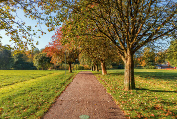 Beautiful autumn landscape. Path in the park with autumn trees on a sunny day.