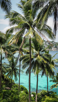 Koh Tao Island in Thailand, Asia