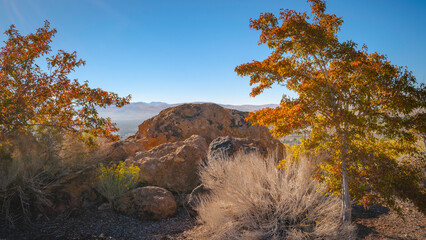 Autumn foliage of maple trees, desert plants, and red rocks at the park  in Reno, the state capital...