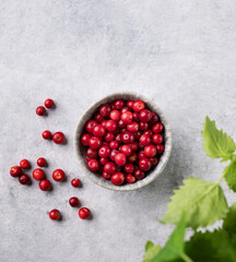 Juicy forest lingonberry in a  bowl on light textured background with mint leaf. Healthy food concept.