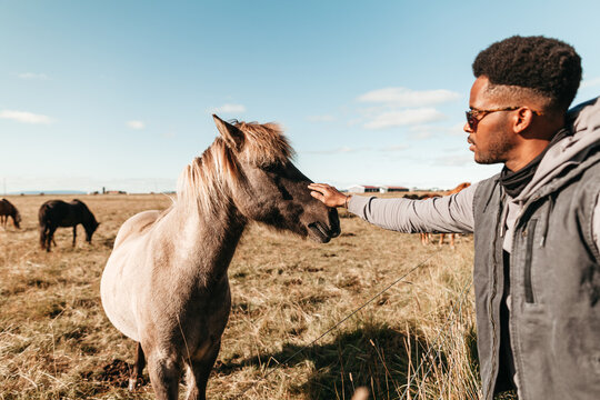 A man petting a horse in Iceland