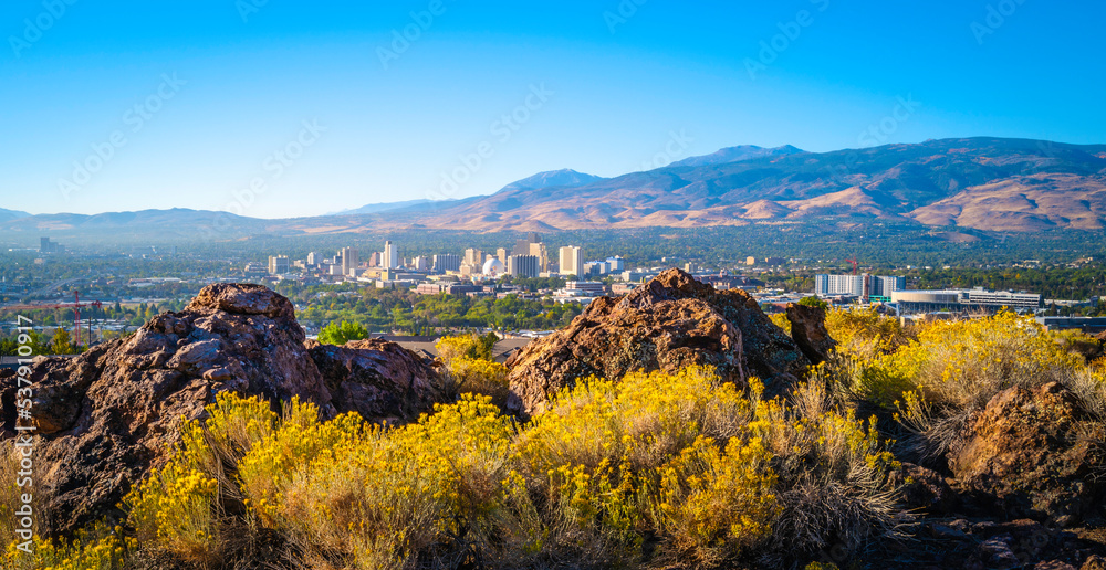 Wall mural reno autumn city skyline over nuttall’s rayless-goldenrod flowers and red rock hill in the state cap