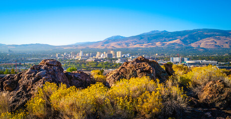 Reno autumn city skyline over Nuttall’s Rayless-Goldenrod flowers and red rock hill in the state capital of Nevada, aerial view of the arid landscape of the desert city - obrazy, fototapety, plakaty