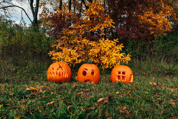 Three large, carved pumpkins.