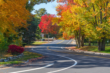 winding road in residential area in autumn season