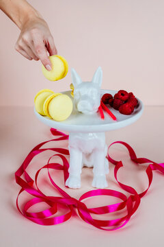 Fancy dog shaped plate with yellow macaron and berry on a pink table