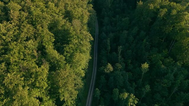 Drohnen-Flug &uuml;ber nachhaltigen und saftig-gr&uuml;nen Wald mit Wanderweg