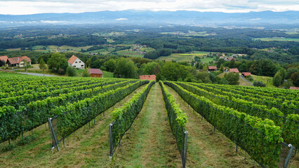 Fototapeta na wymiar View from grape farm in Styria, Austria