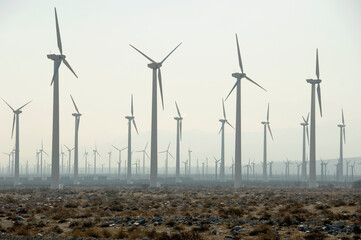 Wind electrical turbines in the California desert.