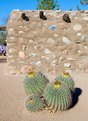 Cactus and adobe, Arizona, US - 537915599