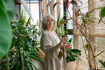 greenhouse with plants.