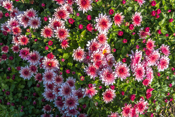 attraction, background, beautiful, beauty, birch, blue, boat, canyon, cliff, complex, day, excursion, forest, geology, gray, green, hiking, karelia, karelian, lake, landscape, marble, mountain, natura
