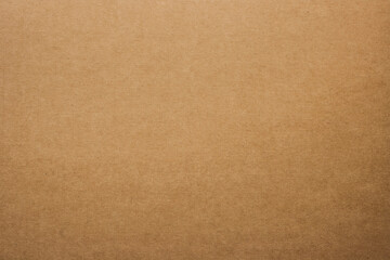 Fototapeta na wymiar Brown Cardboard texture empty surface