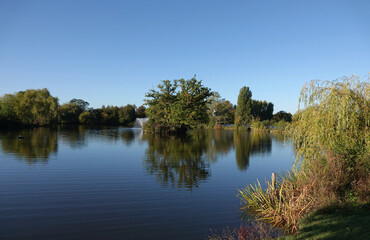 Fototapeta na wymiar A reflection view across the lake at Lake Meadows park, Billericay, Essex, UK. 