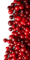 Red ripe berries on white background
