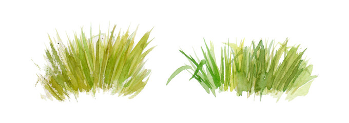 Bushes of green grass on a white background in watercolor. Green grass, meadow in spring isolate. Set of herbs of different sizes and colors.