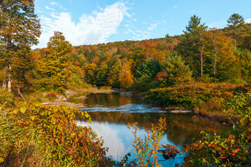 Colorful forest along the Mad river banks.Town of Warren.Washington County.Vermont