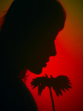 Shadow of a woman with red and black lighting holding a flower