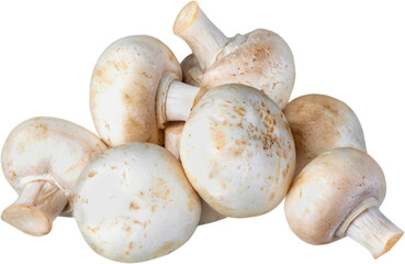 Edible Mushroom, Food, Fungus.Edible Mushroom, Food, Fungus.
