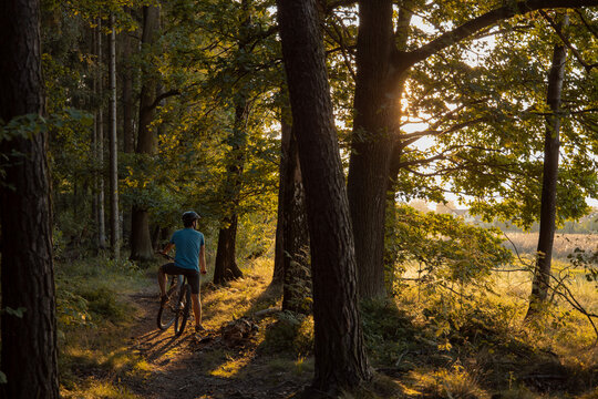 Mountainbiker In The Forest