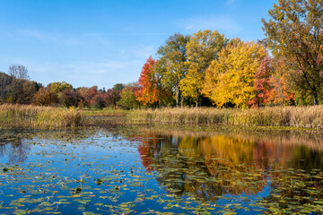 Fototapeta na wymiar Montreal Botanical Garden main pond in Autumn