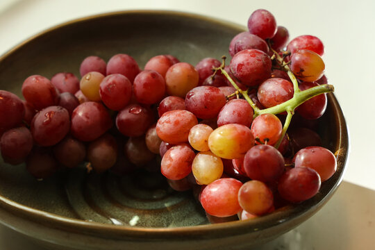 Farmers Market Bounty