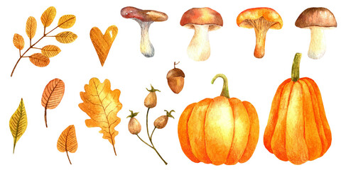 Watercolor illustration with autumn leaves, pumpkins  and mushrooms, PNG