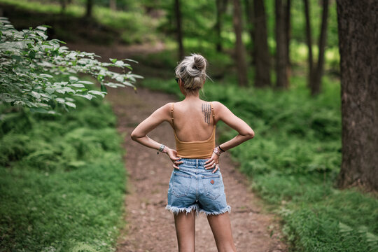 Forest Path