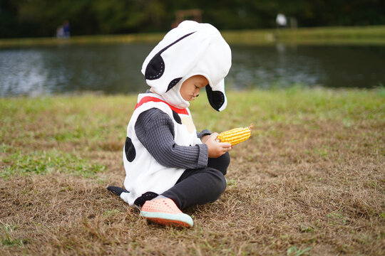 girl with a head of corn on the background of the lake
