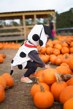 baby in pumpkins
