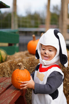 girl and pumpkin in hands
