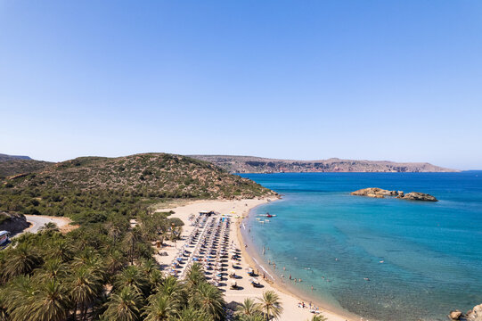 Beach Surrounded By Palm Trees And Blue Water