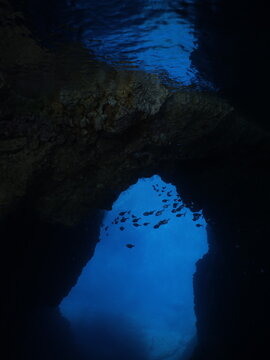 cave underwater  fish in in blue water ocean scenery school of fish