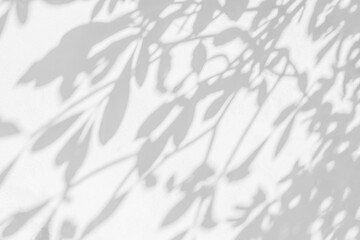 Shadow and sunshine of leaves reflection. Jungle gray darkness leaf shade and lighting on concrete wall for wallpaper, shadows overlay effect. Black and white artistic abstract background