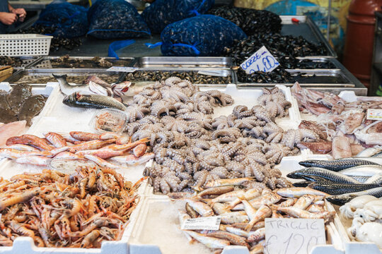 Fresh seafood at a market