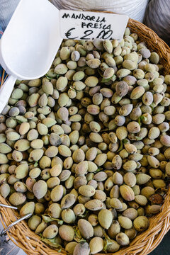 Basket of fresh picked almonds 