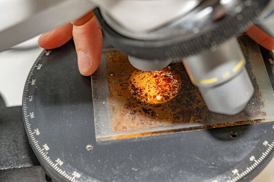 vision d'une lame de terre sous la lumi&egrave;re d'un microscope avec la main d'une chercheuse