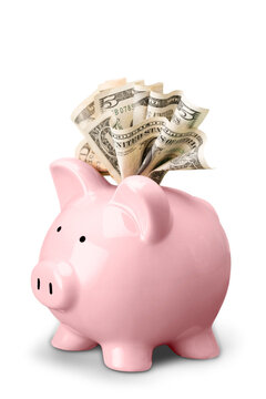 Pink piggy bank with a dollar banknotes isolated on white background